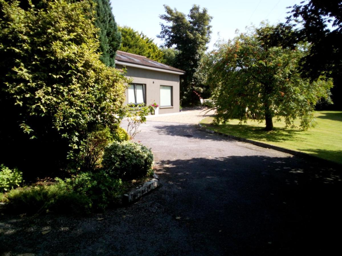 Spacious Contemporary Chalet Type Apartment. Galway Extérieur photo