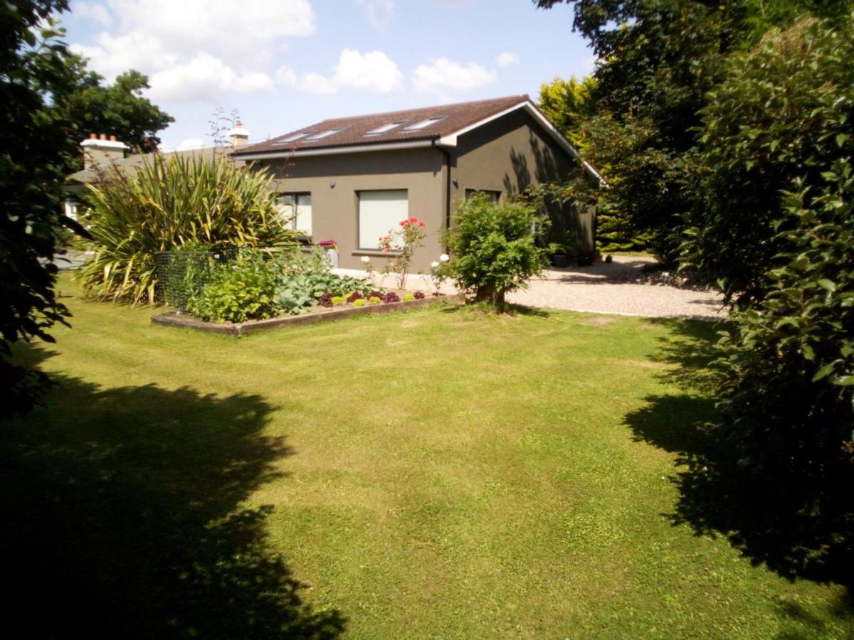 Spacious Contemporary Chalet Type Apartment. Galway Extérieur photo