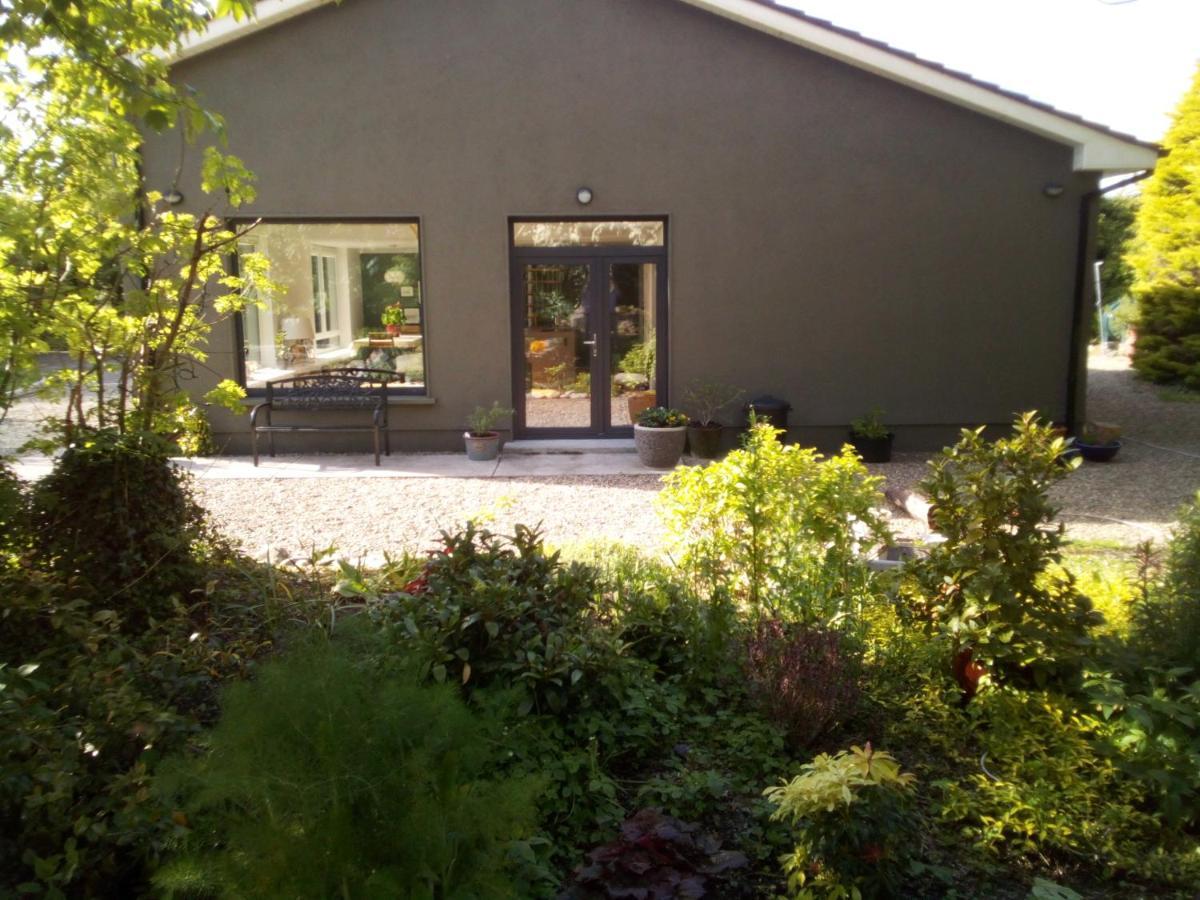 Spacious Contemporary Chalet Type Apartment. Galway Extérieur photo