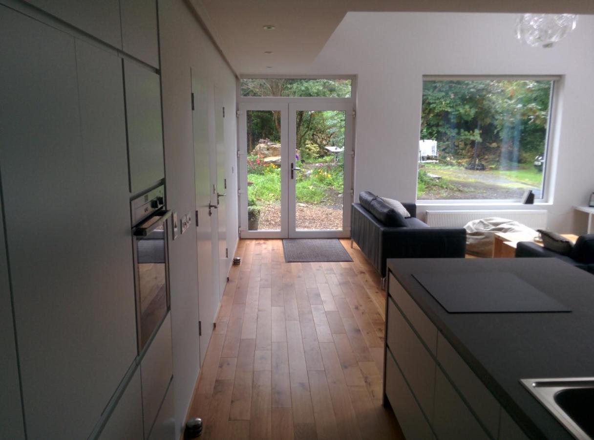 Spacious Contemporary Chalet Type Apartment. Galway Extérieur photo
