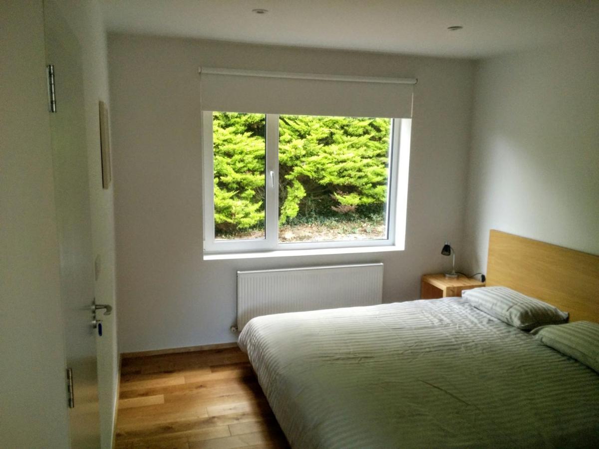 Spacious Contemporary Chalet Type Apartment. Galway Extérieur photo