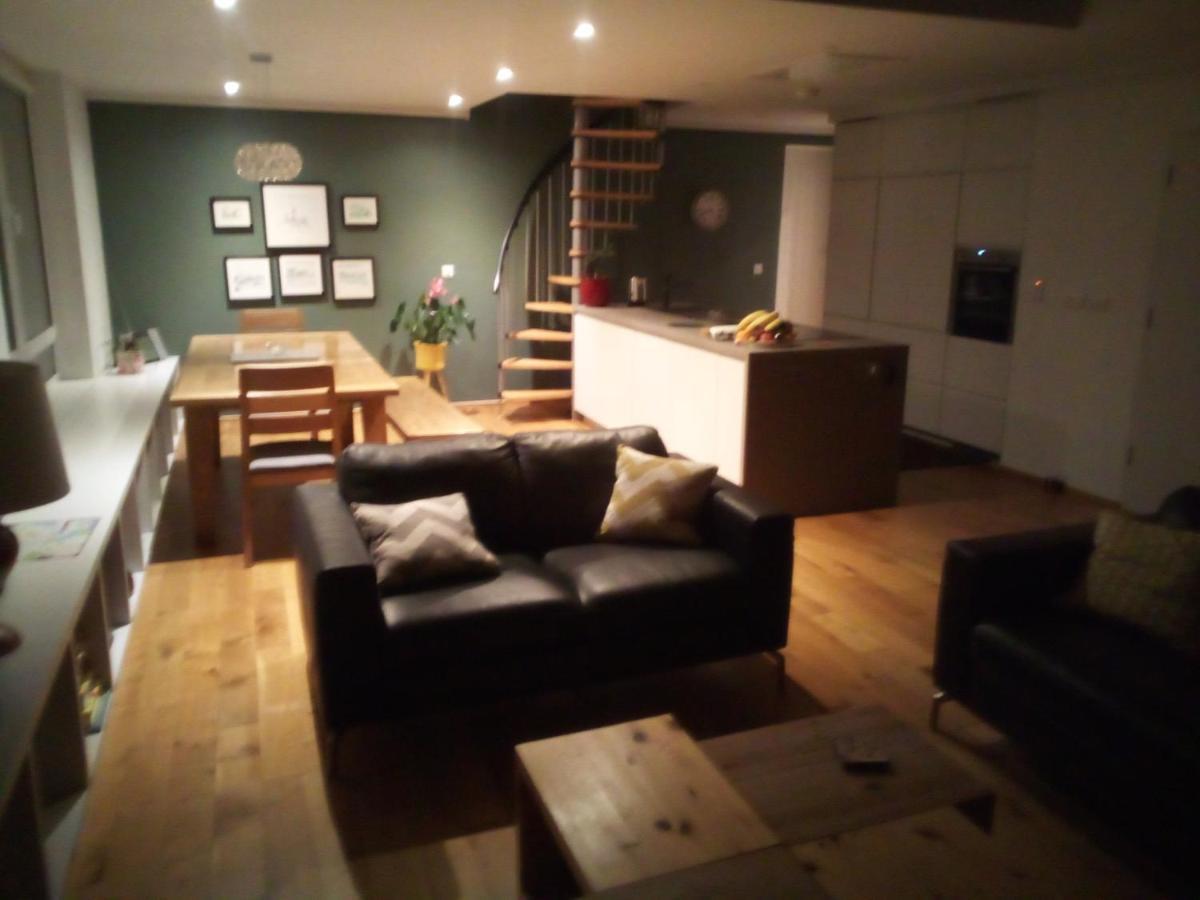 Spacious Contemporary Chalet Type Apartment. Galway Extérieur photo