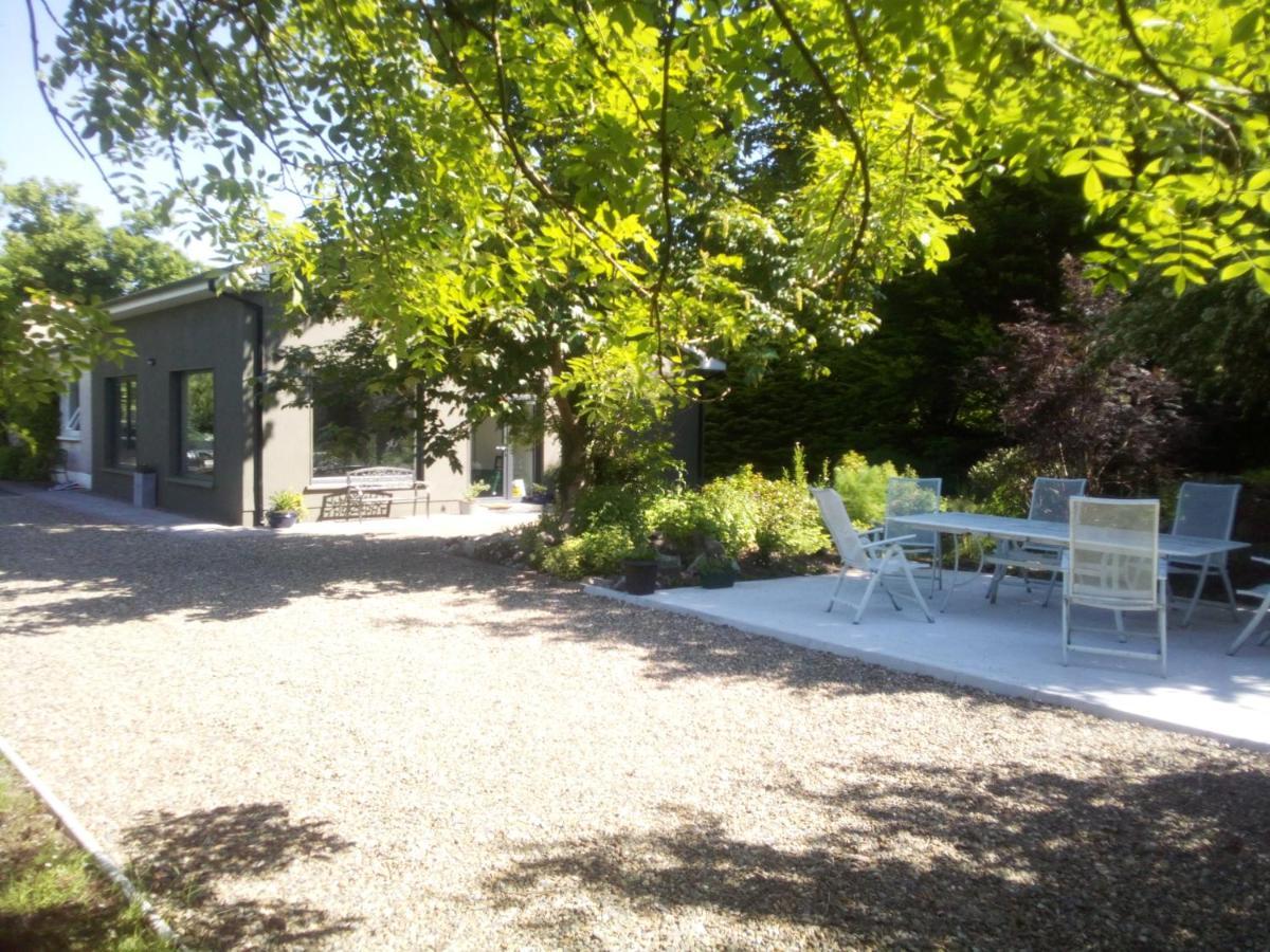 Spacious Contemporary Chalet Type Apartment. Galway Extérieur photo
