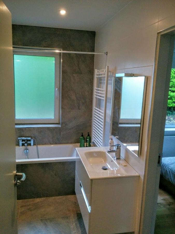 Spacious Contemporary Chalet Type Apartment. Galway Extérieur photo
